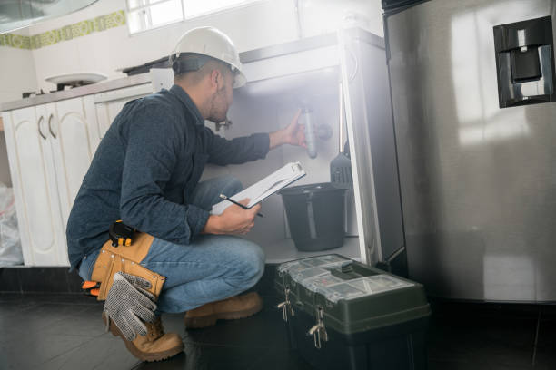 Best Faucet Repair  in Spring Valley, MN