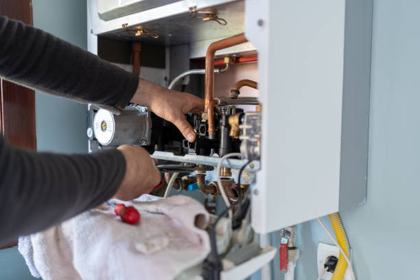 Best Clogged Drain Plumber  in Spring Valley, MN