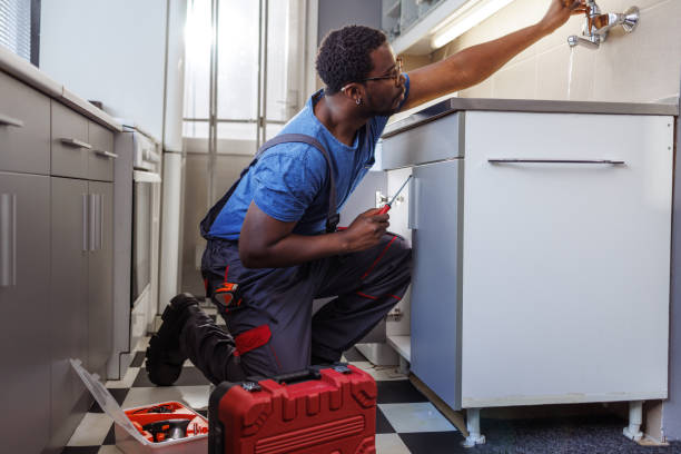 Best Leak Detection Services  in Spring Valley, MN
