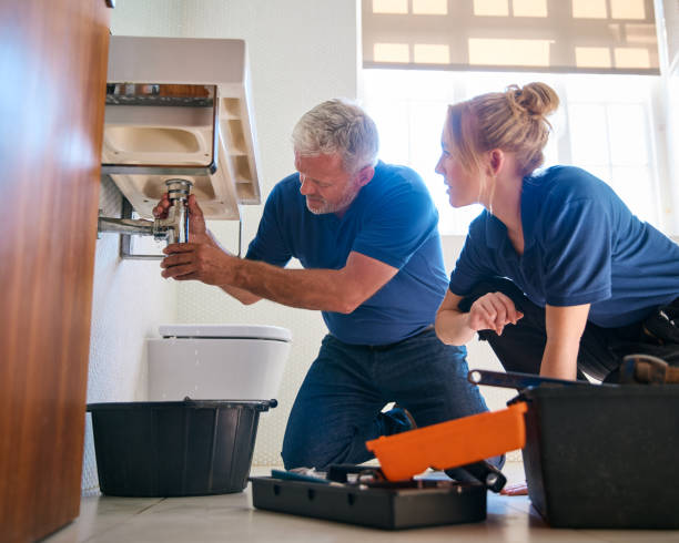 Best Same-Day Plumbing Service  in Spring Valley, MN