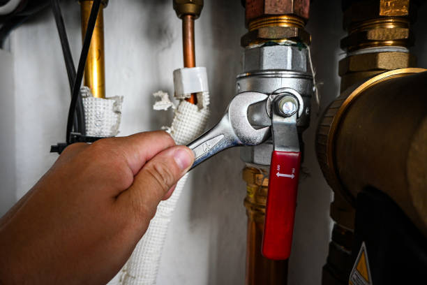 Best Plumbing Repair Near Me  in Spring Valley, MN